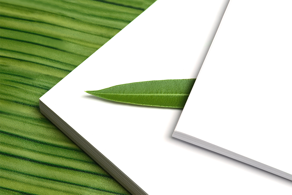 zero waste greeting card printing